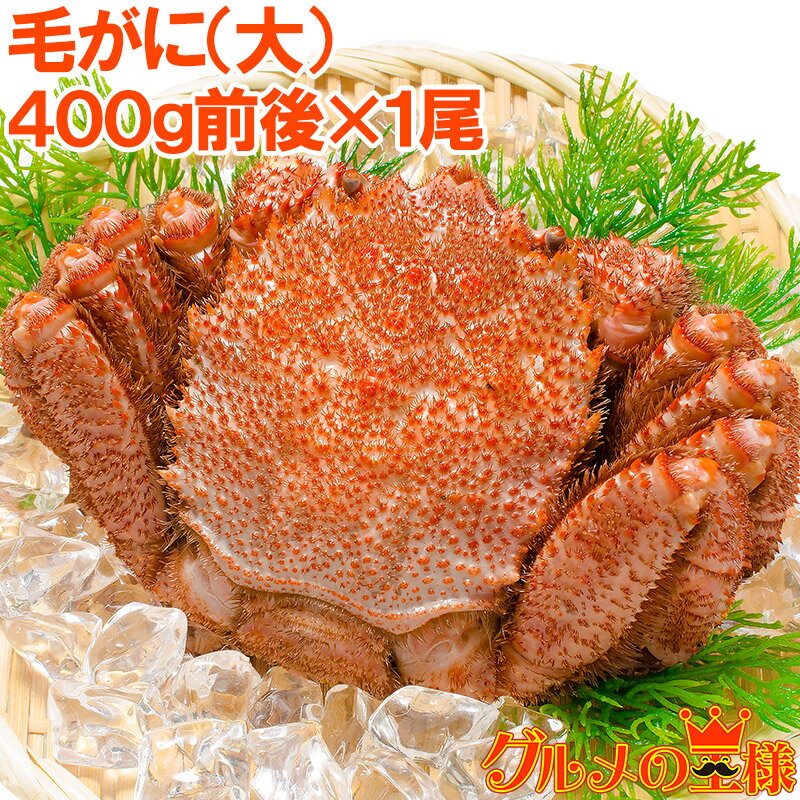 送料無料 毛ガニ 毛蟹 浜茹で毛がに姿 平均400g前後×1尾 ボイル 冷凍 北海道産 最高級 堅蟹 身もカニ味噌もぎっしり 築地の正規品堅ガニ かに カニ 蟹...