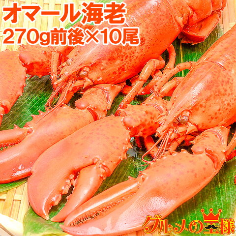 送料無料 オマール海老 ロブスター 冷凍重量270g前後×10尾 肉厚な高級ボイルロブスター【ロブスター】【オマールエビ】【オマール海老】【オマールロブスター 伊勢海老 伊勢えび】【バーベキュー】【ギフト】【レシピ】【smtb-T】