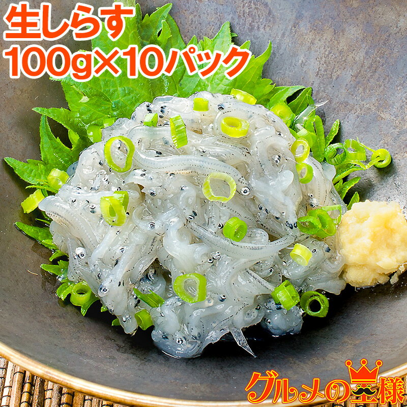 生しらす 生シラス 1kg 100g×10パック 約20人前 超新鮮な無添加の国産天然生しらす！極上の生しらす丼をご家庭で。【冷凍生しらす 生シラス丼 駿河湾産 江ノ島 鎌倉 静岡産】