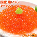 塩イクラ 塩いくら 500g 厳選の国産3特グレードの本格塩イクラ！皮までトロける上物。ギフトに大人気！【塩いくら いくら塩漬け いくら丼 イクラ丼 海鮮丼 北海道 サーモン 鮭 築地市場 豊洲市場 寿司 料理 ギフト】【smtb-T】