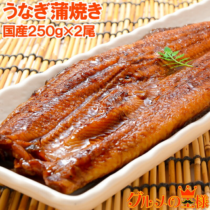 超特大！国産うなぎ蒲焼き 平均250g前後×2尾 タレ付き 柔らかうなぎを丁寧に焼き上げた！まさに国 ...