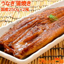 超特大！国産うなぎ蒲焼き 平均250g前後×2尾 タレ付き 柔らかうなぎを丁寧に焼き上げた！まさに国産の最高級品質。デパ地下にも卸しています うなぎ ウナギ 鰻 うな丼 うな重 ひつまぶし 土用の丑 レシピ 築地市場 豊洲市場 ギフト