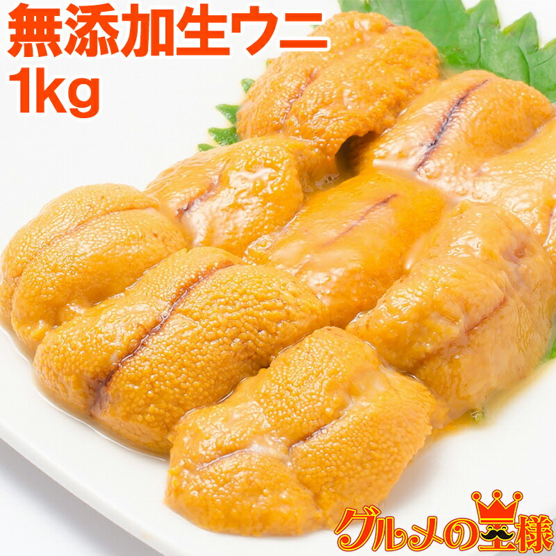 うに 冷凍生うに 無添加 100g×10パッ