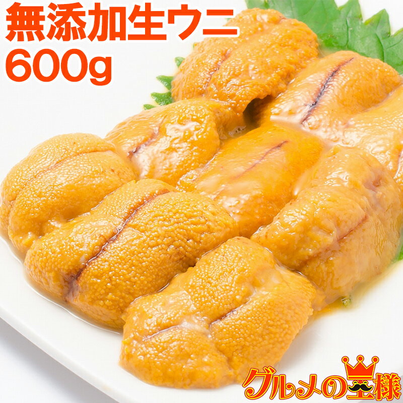 送料無料 うに 冷凍生うに 無添加 100g×6パック 最高