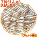 送料無料 訳あり ししゃも 3kg 1kg×3袋 業務用 子持ちシシャモ 樺太シシャモ カラフトシシャモ カペリン 柳葉魚 ノルウェー産 中国加工 ししゃもフラ...
