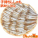 【クーポンご利用で50%OFF】子持ち シシャモ 一夜干し 山盛り1kg (500g×2パックまたは1kgジッパータイプ) アイスランド産 シシャモ おつまみ