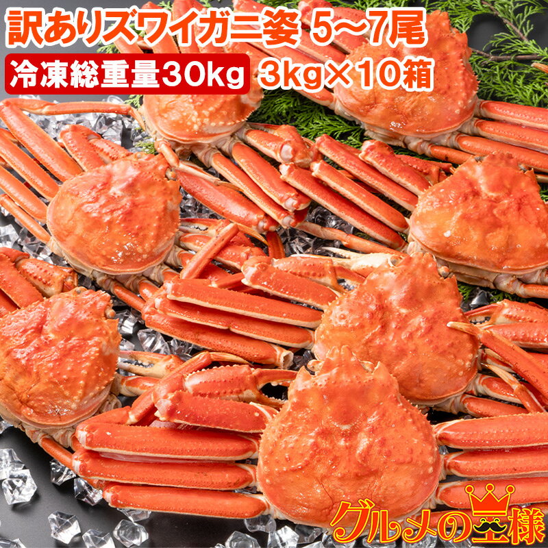 訳あり ズワイガニ 姿 合計30kg前後 50〜70尾 3kg×10箱 冷凍ゆでがに 本ズワイガニ ボイル冷凍 ズワイ蟹 ずわいがに かに カニ 蟹 ずわい蟹 ...