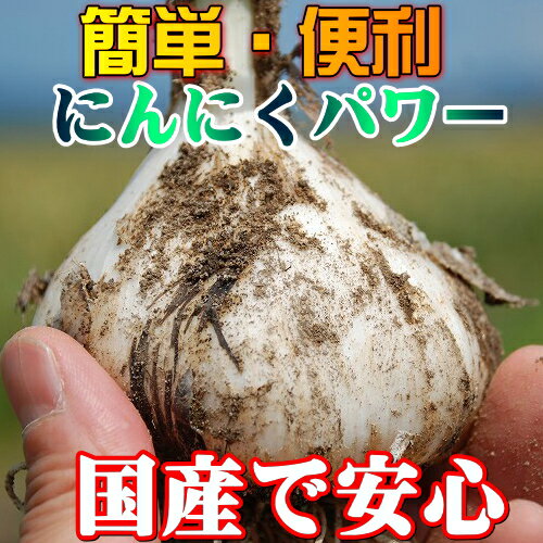 にんにくスライス 青森県産 200g 送料無料 無添加 無着色の低温乾燥で安心 ガーリックスライス業務用ガーリックスライス 業務用 にんにくチップ ガーリックチップ ガーリック 業務用 国産 にんにく業務用 ニンニクチップ にんにく 調味料 にんにく調味料 3