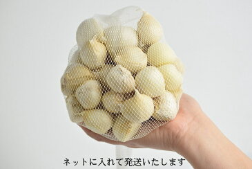 にんにく 500g バラ 皮剥げも有り 送料無料【新物予約令和3年産】生産者直送 にんにく青森県産 バラ にんにく 青森産 訳あり にんにく 国産 青森 にんにく ニンニク 白にんにく 青森県産 にんにく 青森 国産にんにく 業務用 ポイント消費 送料無料