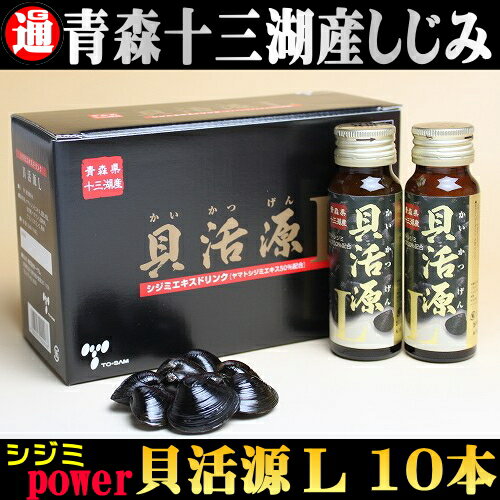 1本にシジミ約40粒のエキスを凝縮！貝活源 L 50ml×10本 シジミエキスドリンク 十三湖 しじみ しじみ サプリ しじみ 習慣 オルニチン しじみエキス 二日酔い ドリンク 父 誕生日プレゼント