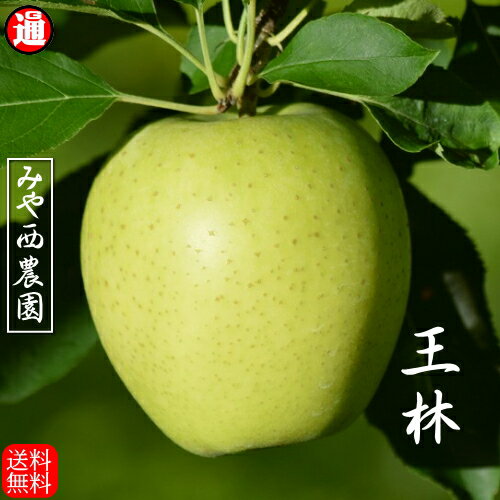 予約 王林 青森りんご 宮西農園(秀品)5kg 青森 りんご 5kg 送料無料 青りんごりんご 送料無料 リンゴ 5kg 青森りんご 送料無料 青森 お取り寄せ 蜜入り 5kg果物通販 果物 ギフト お歳暮 りんご 贈答 青森リンゴ