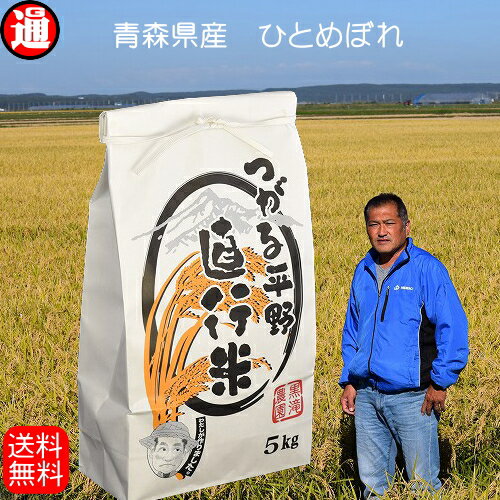 ひとめぼれ 5kg 送料無料 一等米　青森県産米
