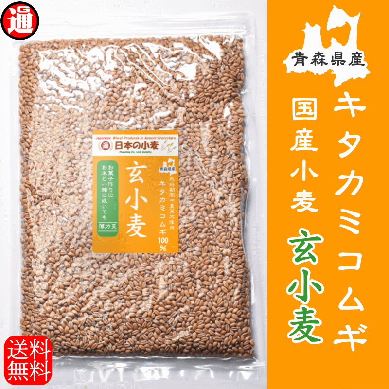 キタ玄粒 小麦 栽培期間中 農薬不散布 国産 小麦 玄小麦 