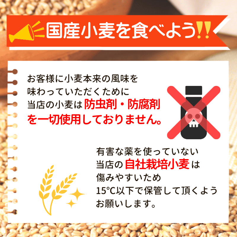 青森県産 業務用 ネバ全 全粒粉 中力粉 25kg 栽培期間中 農薬不散布 国産 小麦 送料無料 ネバリゴシ 100% 単一品種 青森県産 日本の小麦 うどんを打とう ホームベーカリー 材料 ホームベーカリー用パン用粉全粒粉 中力系 全粒小麦 国産 小麦粉