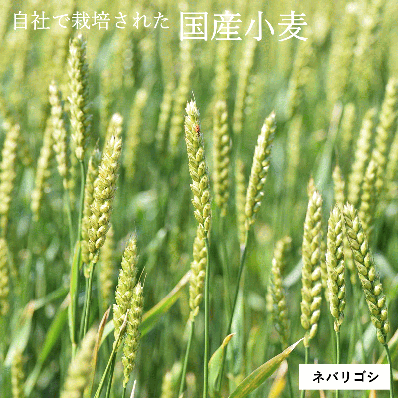 お店のための パリッとジューシー から揚げ粉 1kg×10袋入｜ 送料無料 調味料 唐揚げ粉 からあげ 唐揚げ