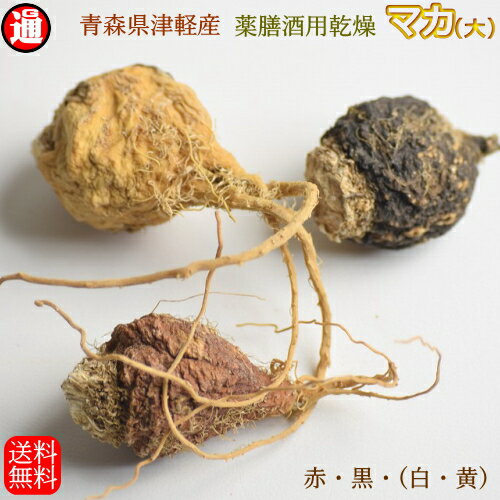 楽天グルメ通りマカ 妊活 （大）30g 栽培期間中農薬不使用 青森県産 送料無料 薬膳酒用乾燥マカ 妊活 アルギニン リパーゼ 薬膳食材 薬膳 国産マカ 国産 男のパワー スーパーフードマカ 津軽マカ つがるマカ 青森県産 母の日 父の日 お中元 お歳暮 ギフト アグリ