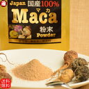 マカ 純度100％ 国産 マカ 粉末 21g 栽培期間中農薬不使用 送料無料 1週間から2週間お試し マカ パウダー マカパウダー 妊活 甦れパワー アルギニン リパーゼ 国産マカ男のパワー 男の自信 スーパーフードマカ 津軽マカ アグリ