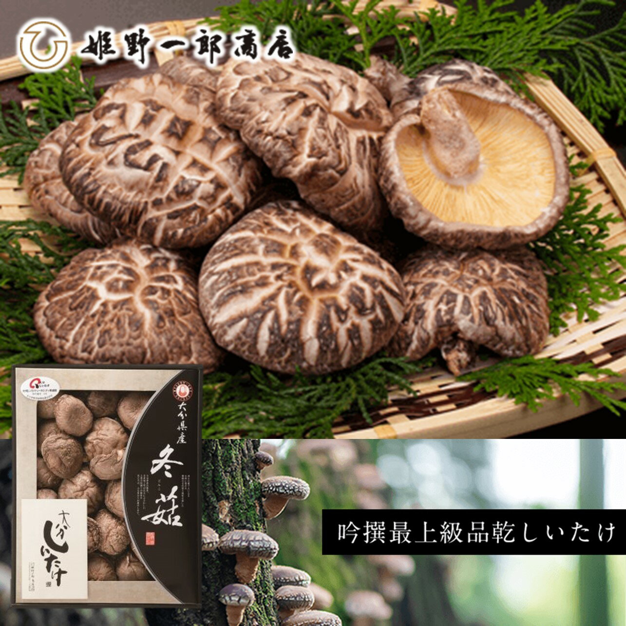 大分県産 椎茸 どんこ120g