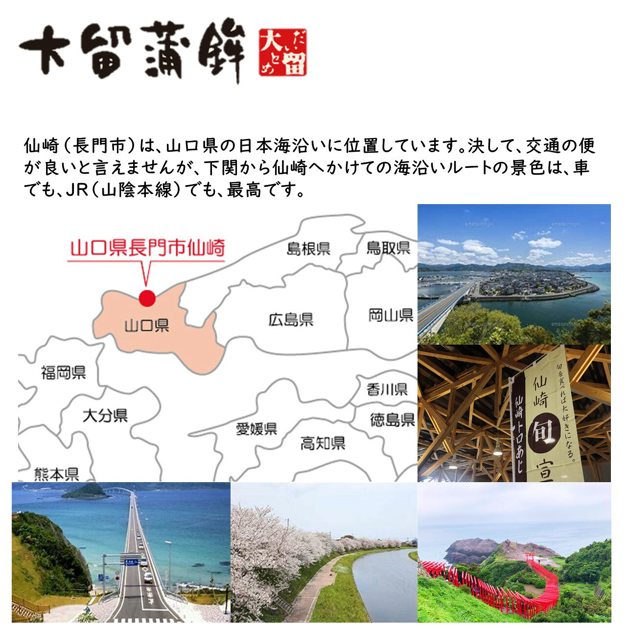 大留蒲鉾　玄海とふく蒲の詰合せ　山口　仙崎　玄海　ふく蒲　玄海　お取り寄せ　ギフト gourmetadventure-10000253 グルメアドベンチャー 楽天市場店 サンプル画像3