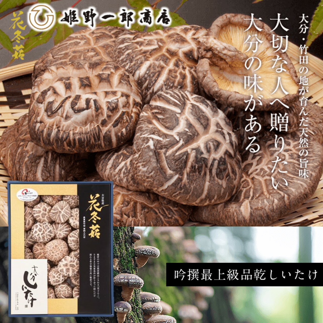 大分県産 椎茸 どんこ 花どんこ150g