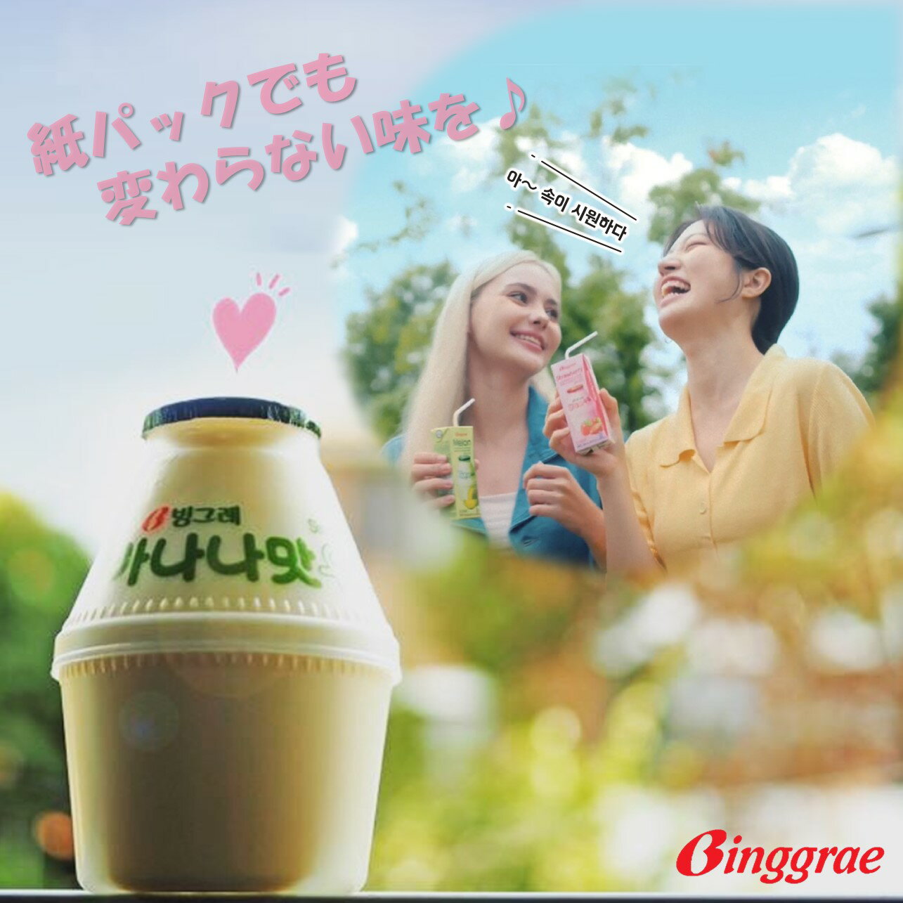 �ӥ󥰥�֥������ߥ륯�ס�200ml��24������10��������Binggrae���Хʥʥ��桡�ڹ񥰥�ᡡ�ﲹ��¸��ǽ���ڹ񥽥���ա��ɡ��ڹ�ɥ�󥯡��ڹ񥹥�����