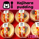 手作りプリンかじはら 冷凍 プリン屋さんの濃厚なめらかプリン12個 鹿児島 冷凍プリン お取り寄せ ご当地