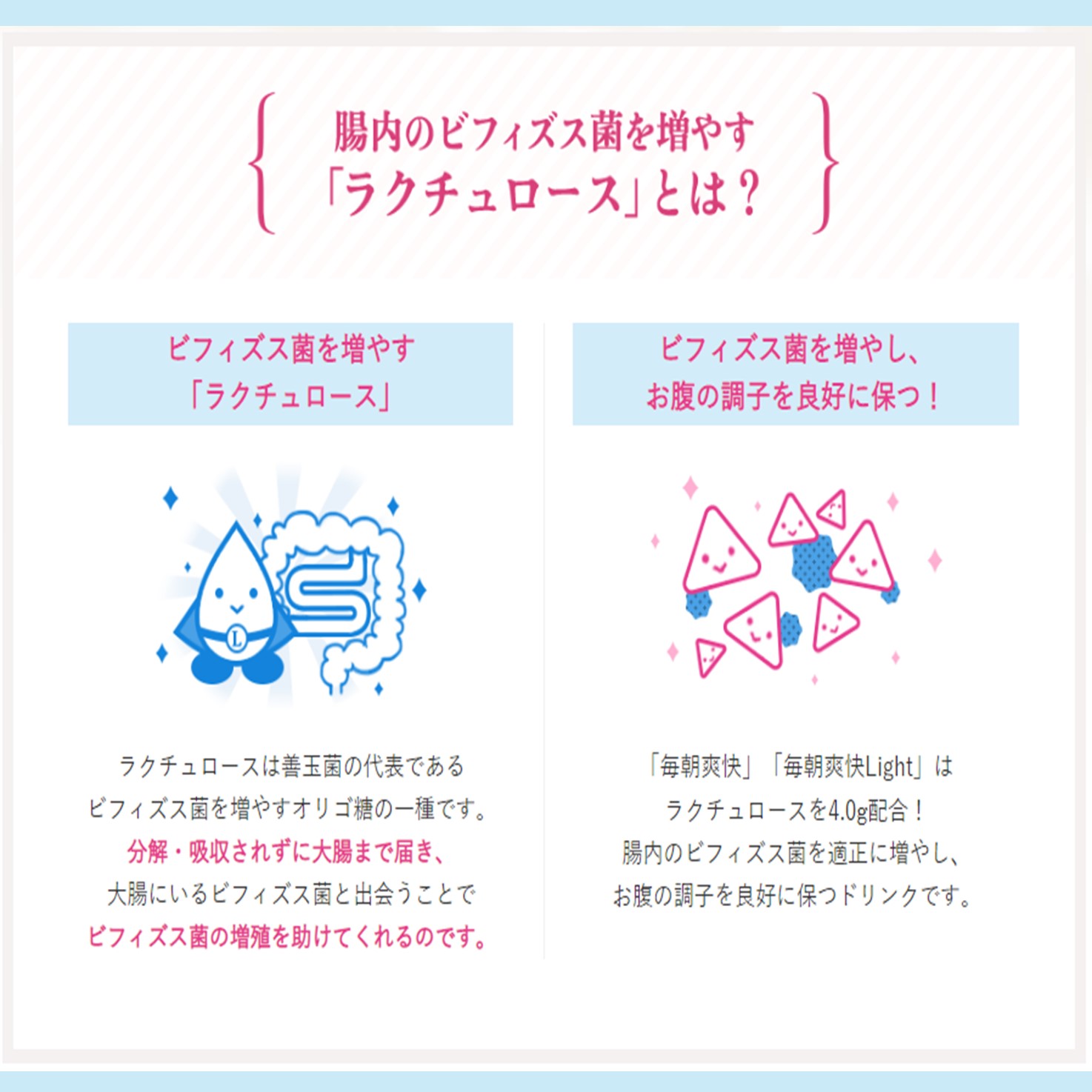 ���ꥸ�ʥ롡�������ȡ���ī�ֲ�24�ܡ�2���������åȡ��������åȡ��򹯡������ݰ�����������