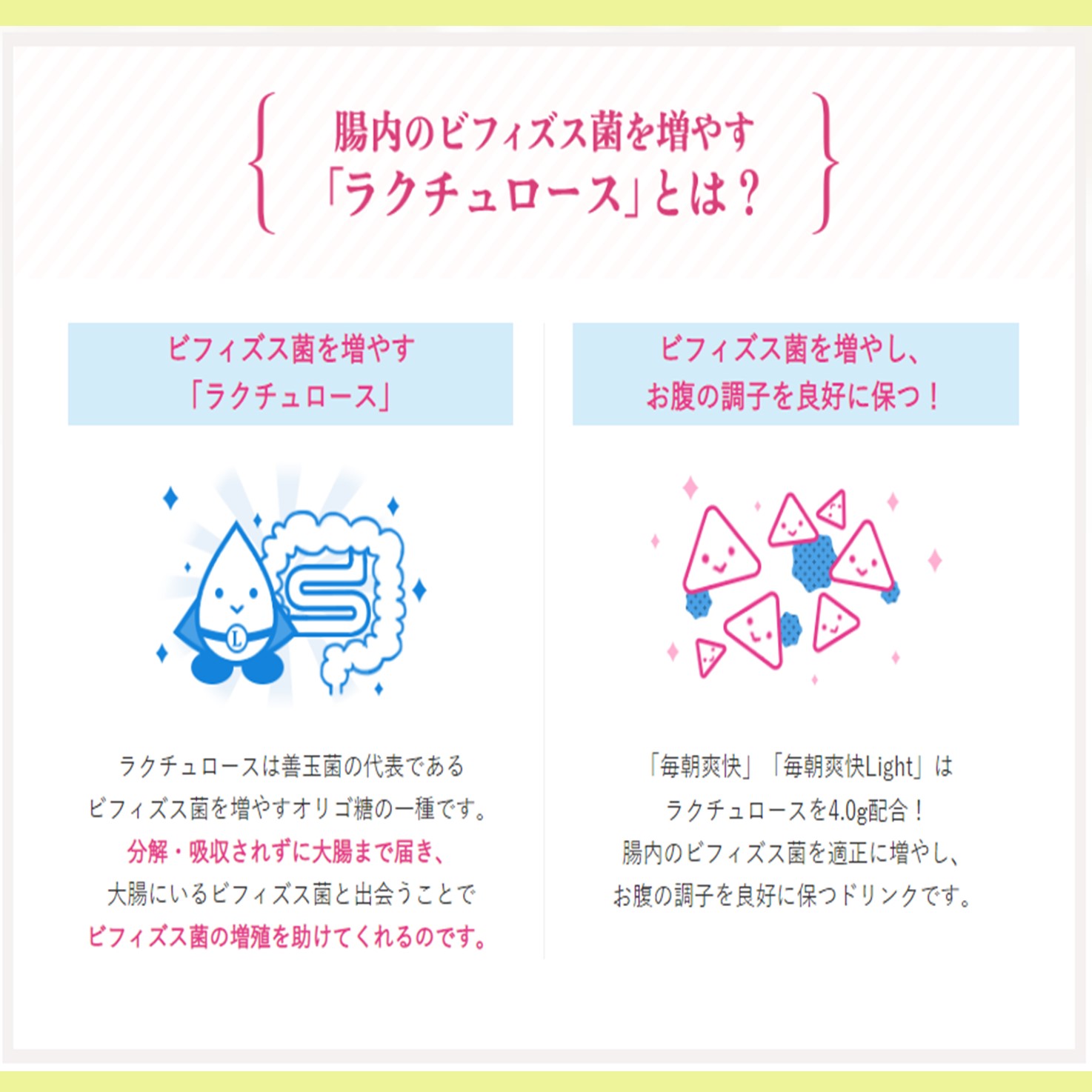 ���ꥸ�ʥ롡�������ȡ���ī�ֲ�light24�ܡ�2���������åȡ��������åȡ��򹯡������ݰ����������̡��㥫���꡼