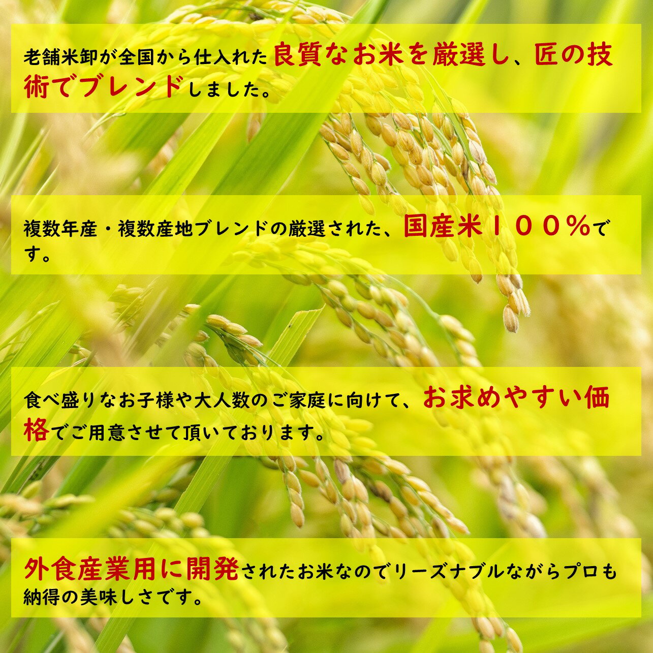 ���ΰ�γ���֥����ơ�����100��10kg����̳��