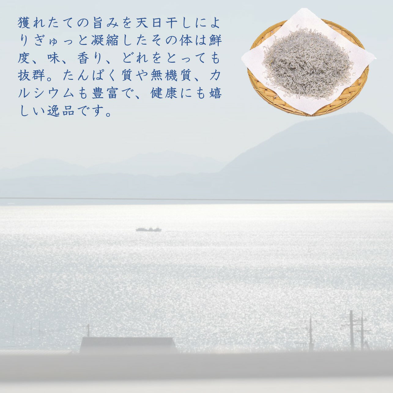 豊後　別府湾ちりめん　70gx3