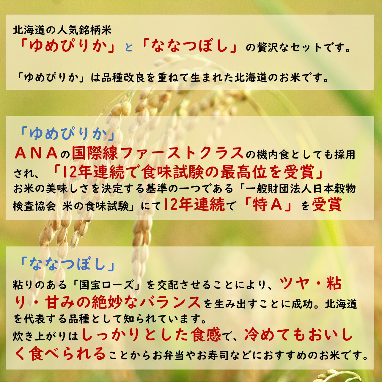 令和5年産　北海道産　ゆめぴりか＆ななつぼし10kg（各5kg） 2