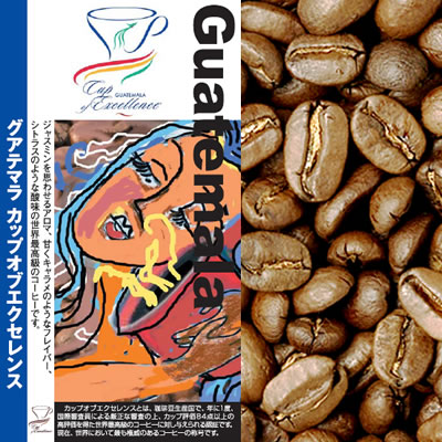 グァテマラカップオブエクセレンス（200g）/グルメコーヒー豆専門加藤珈琲店/珈琲豆
