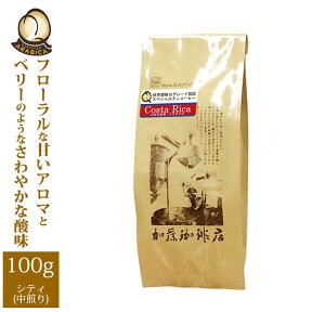 コスタリカ世界規格Qグレード珈琲豆（100g）/グルメコーヒー豆専門加藤珈琲店/珈琲豆