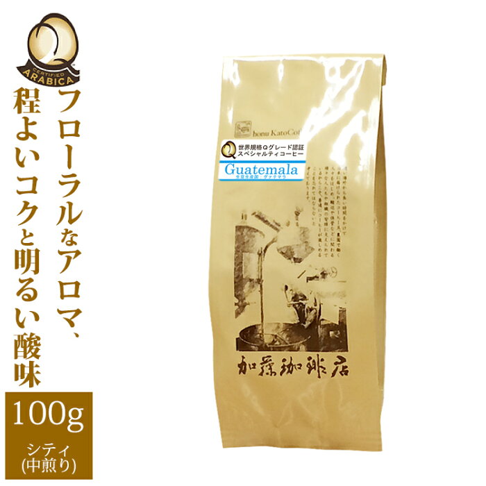 グァテマラ世界規格Qグレード珈琲豆（100g）（ガテマラSHB）/グルメコーヒー豆専門加藤珈琲店/珈琲豆