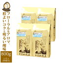 （200g×4）グァテマラ世界規格Qグレード珈琲豆（Qグァテ×4/各200g）/珈琲豆