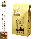ニカラグア世界規格Qグレード珈琲豆(300g)/グルメコーヒー豆専門加藤珈琲店/珈琲豆