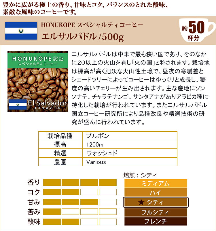 タイプ10(R)スペシャルティ珈琲大入り福袋（Qエル・ヨーロ・鯱・Mクラシック/各500...