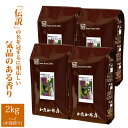 エチオピアモカ・レジェンド(レジェ×4)/グルメコーヒー豆専門加藤珈琲店/珈琲豆