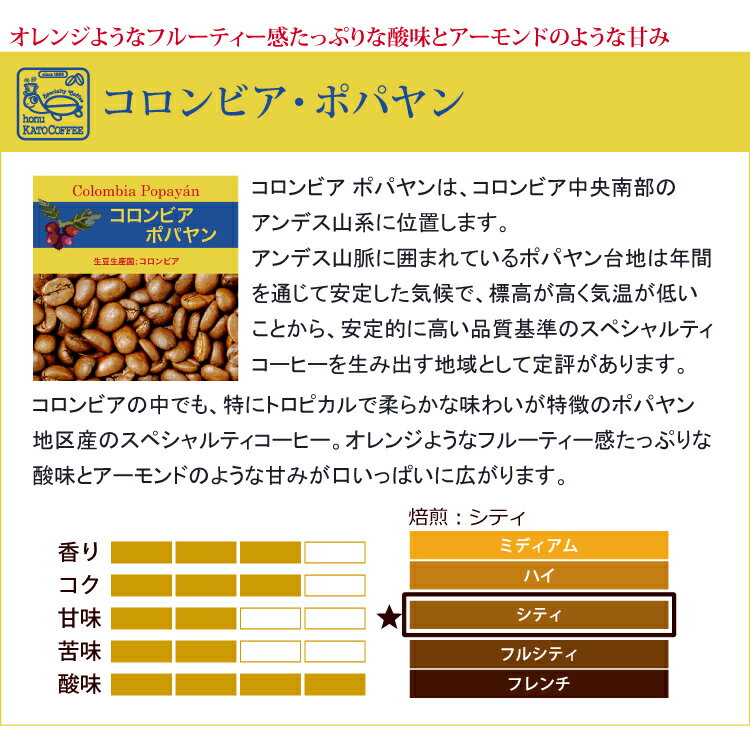 コロンビア・ポパヤン（100g）/珈琲豆　加藤珈琲店　コーヒー　コーヒー豆　加藤珈琲