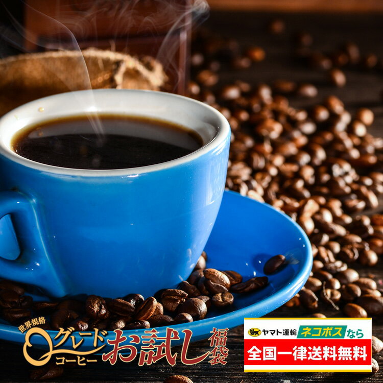 加藤珈琲店 全国一律送料無料【ネコポス】Qグレードお試しコーヒー福袋(Qブラ・Qグァテ・Qコロ/各100g)　加藤珈琲　1,000円