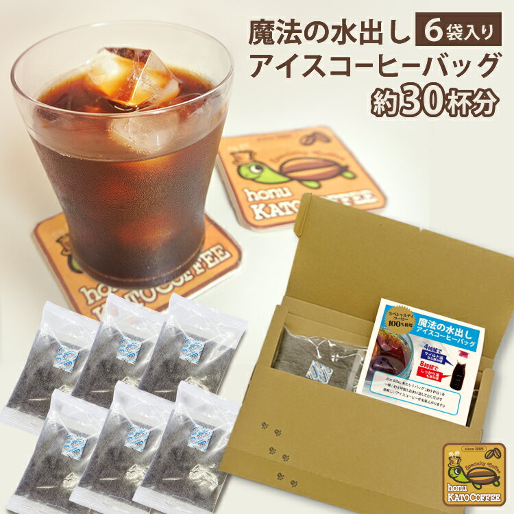 加藤珈琲店 魔法の水出しアイスコーヒーバッグエコノミーセット　送料無料　加藤珈琲店