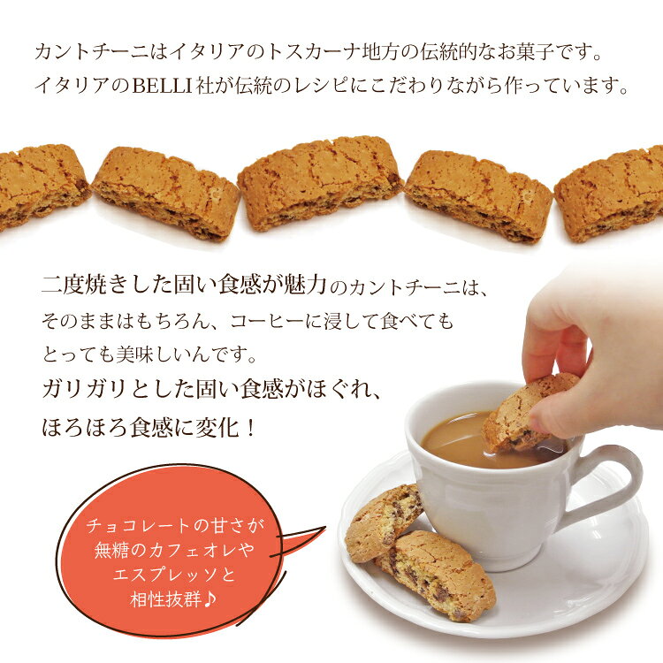 �٥꡼/����ȥ����ˡ����祳�졼�ȥӥ����å�/����ᥳ���ҡ�Ʀ�����ƣ����Ź