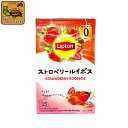 リプトン 紅茶 ティーバッグ ストロベリー ルイボスティー1箱（15袋）Lipton カフェインゼロ レインフォレスト 加藤珈琲店