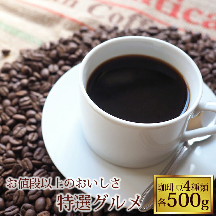 特選グルメ珈琲福袋　コーヒー/コ-ヒ-/コーヒー豆 福袋 通販　送料無料/送料込み//グルメコーヒー豆専門加藤珈琲店