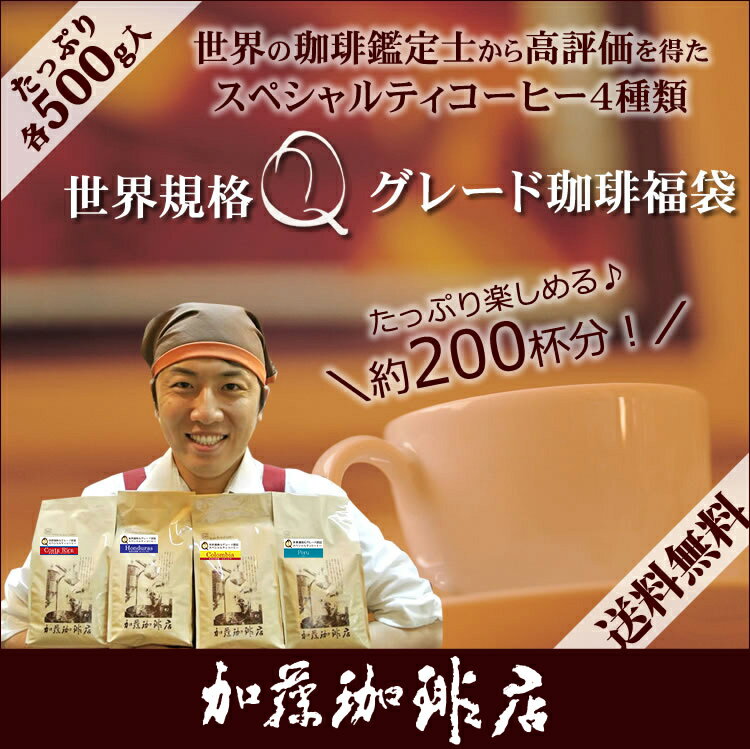 コーヒー豆 コーヒー 2kg 福袋 世界規格Qグレード珈琲福袋(お菓子・Qコロ・Qペル・Qブラ・Qメキ 各500g) 珈琲豆 加藤珈琲