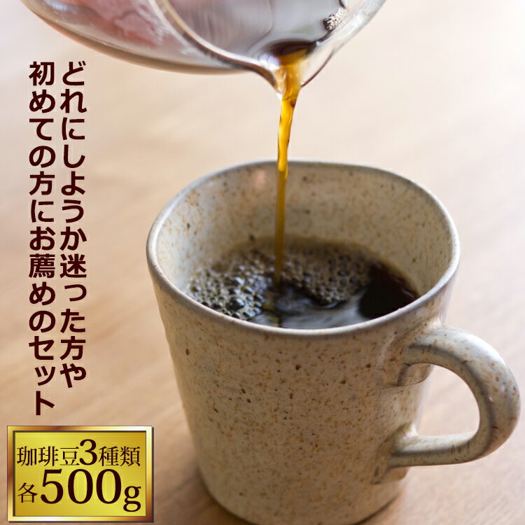 驚愕の珈琲福袋(春・Qコロ・ラス)コーヒーコ-ヒ-/コーヒー豆 有名店の福袋 通販 送料無料/送料込み（500g×3袋 1.5kg）グルメコーヒー豆専門加藤珈琲店/珈琲豆