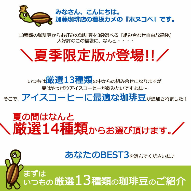 送料無料　コーヒー豆 コーヒー 1.5kg 福袋 組み合わせ自由な福袋(各500g) 珈琲豆 ギフト 加藤珈琲　スペシャルティ