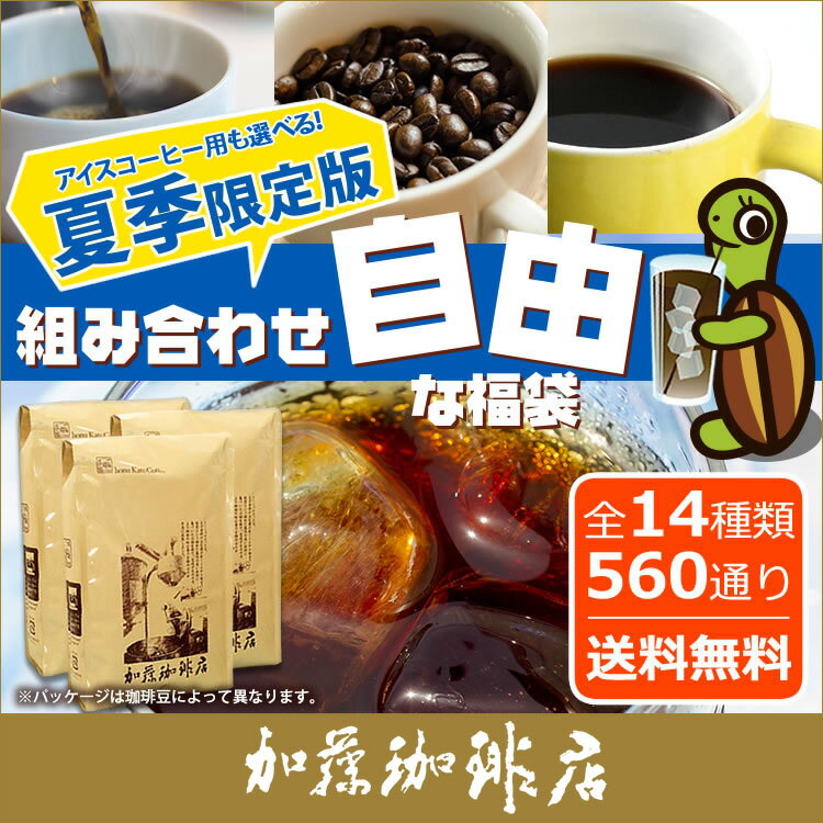 送料無料　コーヒー豆 コーヒー 1.5kg 福袋 組み合わせ自由な福袋(各500g) 珈琲豆 ギフト 加藤珈琲　スペシャルティ