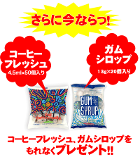 ガムシロップ・フレッシュ付き