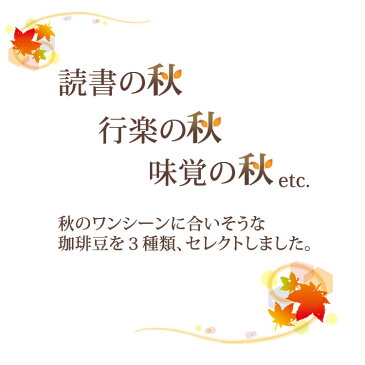 秋景の珈琲福袋(コンゴニ・アヴァロン・DA)/珈琲豆 送料無料 加藤珈琲店 500g袋